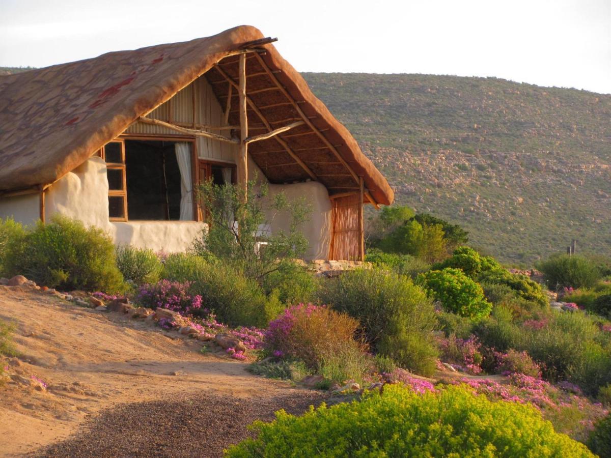 Oudrif Farm Villa Clanwilliam Ngoại thất bức ảnh